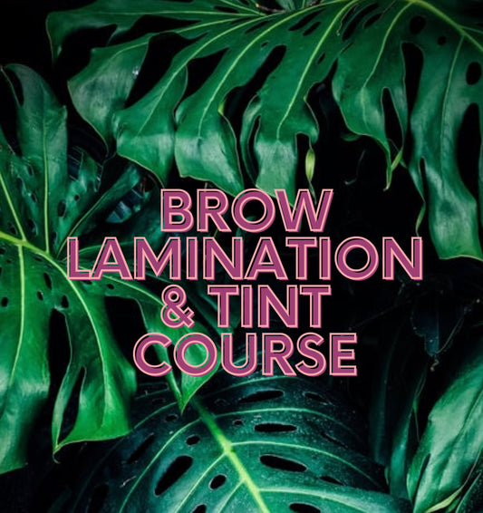 Brow Lamination & Tint Course