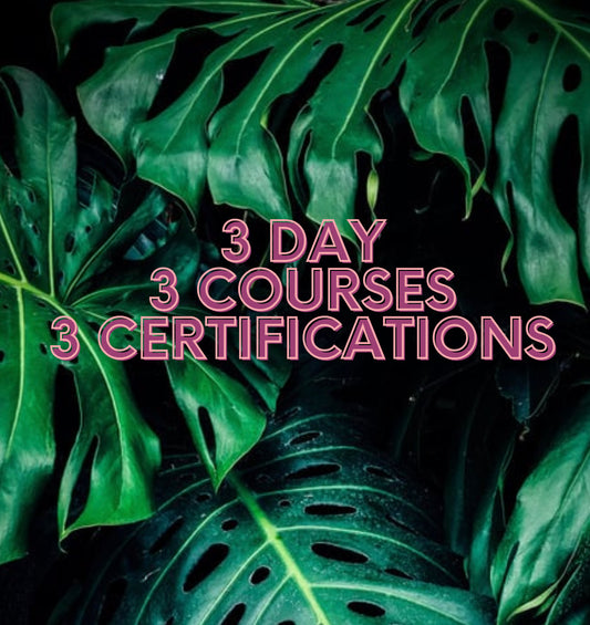 3 Days 3 Certifications